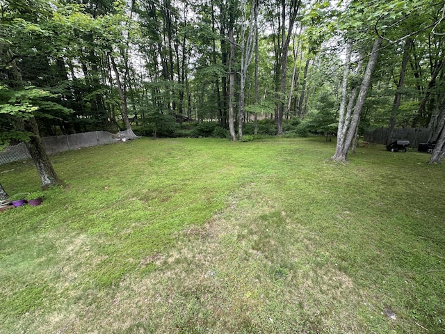 110 Alwen Ave, East Stroudsburg, PA 18301 - view of yard