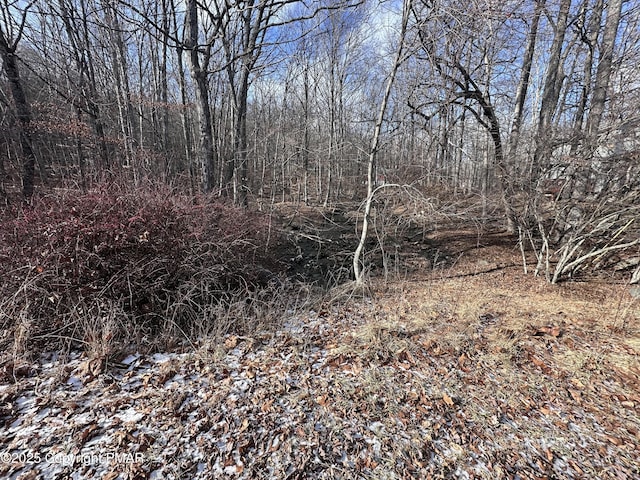 Listing photo 3 for LOT2377 Southport Dr, Bushkill PA 18324