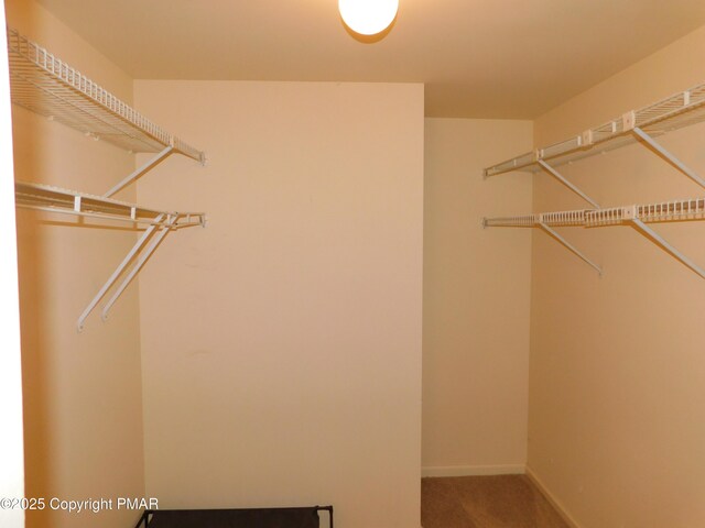 spacious closet with carpet