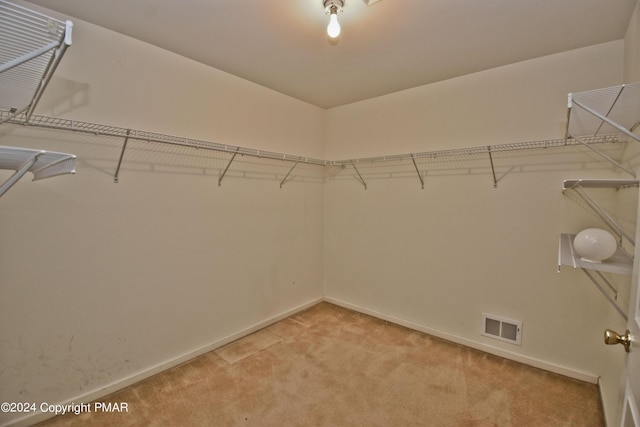 127 Bethpage Ter, Easton, PA 18042 - spacious closet with light colored carpet