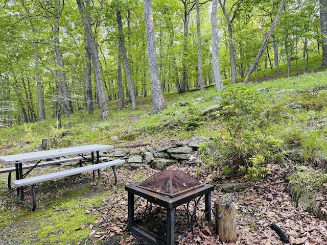 119 Sterling Cir, Bushkill, PA 18324 - view of yard