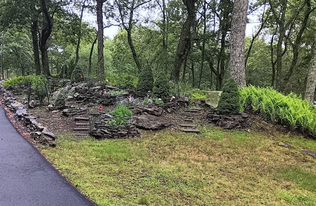 3124 Bluebird Dr, Bushkill, PA 18324 - view of yard