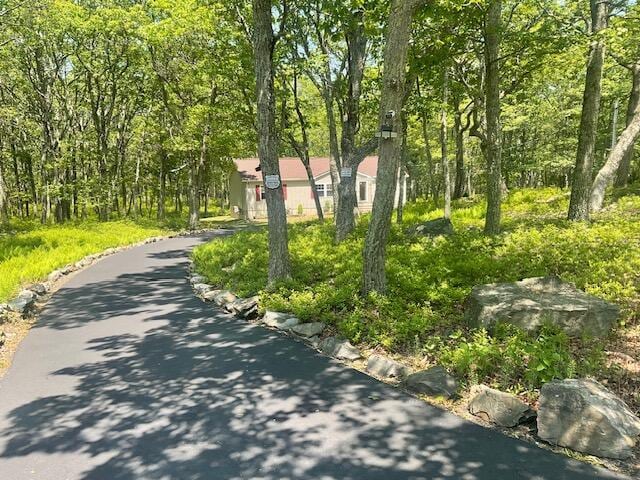 3124 Bluebird Dr, Bushkill, PA 18324 - view of property's community featuring a forest view