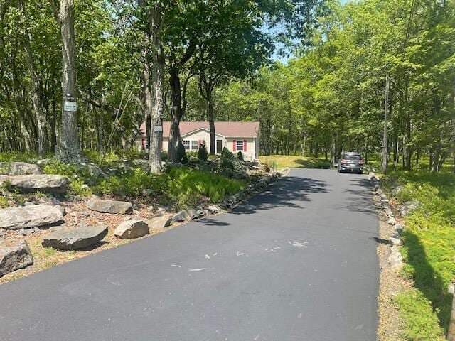 3124 Bluebird Dr, Bushkill, PA 18324 - view of street with a wooded view