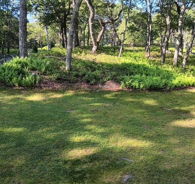 3124 Bluebird Dr, Bushkill, PA 18324 - view of green lawn
