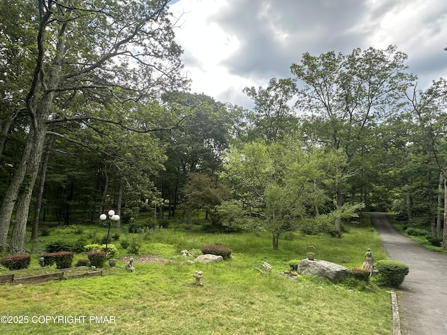 2162 Longview Dr, Bushkill, PA 18324 - photo 30