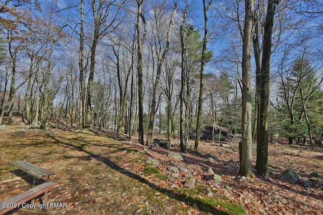 36 Maplewood Rd, Lake Harmony, PA 18624 - view of yard