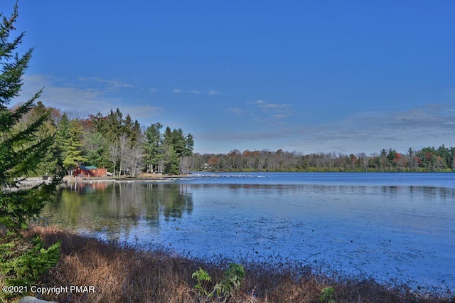 36 Maplewood Rd, Lake Harmony, PA 18624 - water view with a heavily wooded area