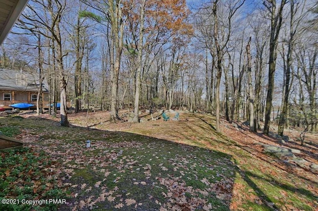 36 Maplewood Rd, Lake Harmony, PA 18624 - view of yard