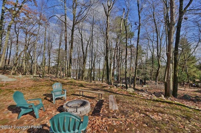 36 Maplewood Rd, Lake Harmony, PA 18624 - view of yard with a fire pit