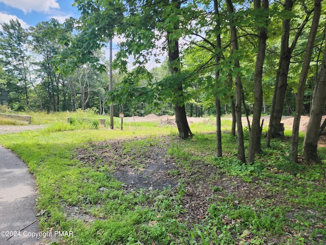 Listing photo 3 for LOT17 Laurel Ln, Mount Pocono PA 18344