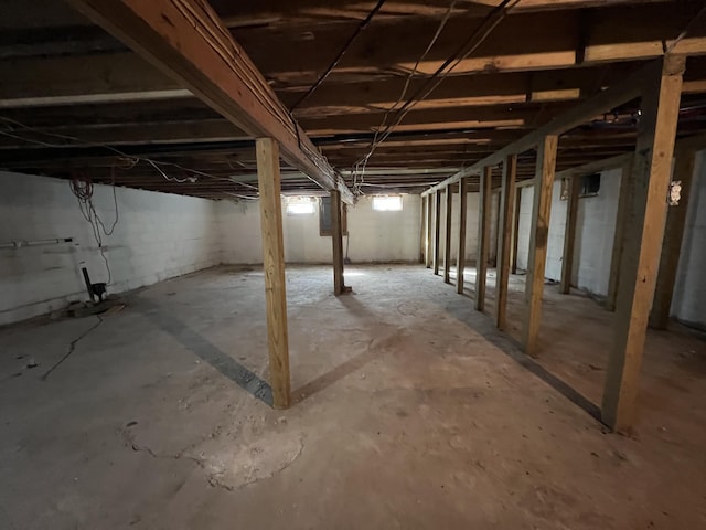 basement featuring electric panel