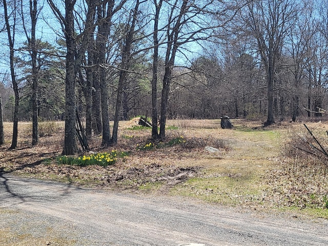 216 Buckhorn Ln, Cresco, PA 18326 - view of road