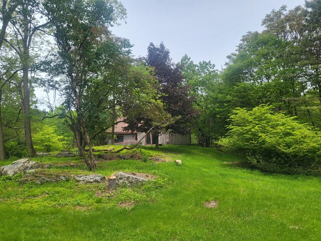216 Buckhorn Ln, Cresco, PA 18326 - view of road