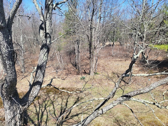 216 Buckhorn Ln, Cresco, PA 18326 - view of local wilderness