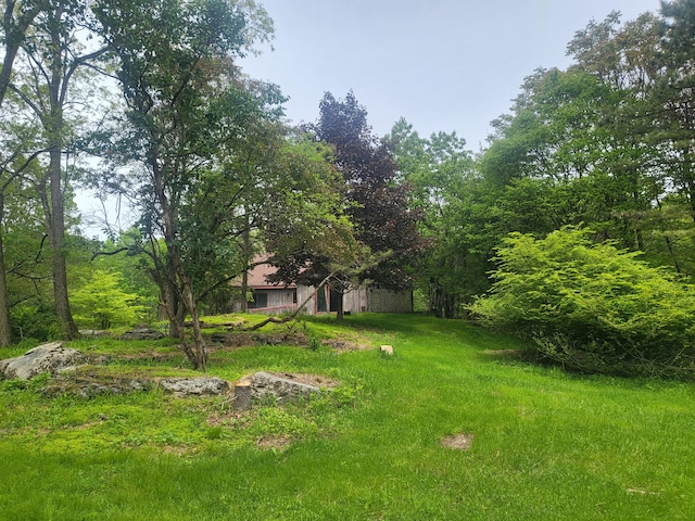 216 Buckhorn Ln, Cresco, PA 18326 - view of yard