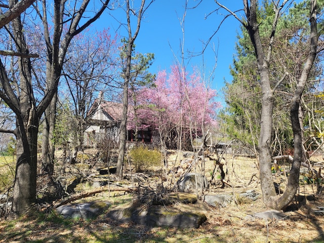 216 Buckhorn Ln, Cresco, PA 18326 - view of undeveloped land