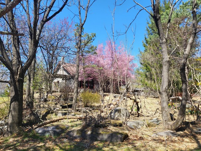 216 Buckhorn Ln, Cresco, PA 18326 - view of undeveloped land