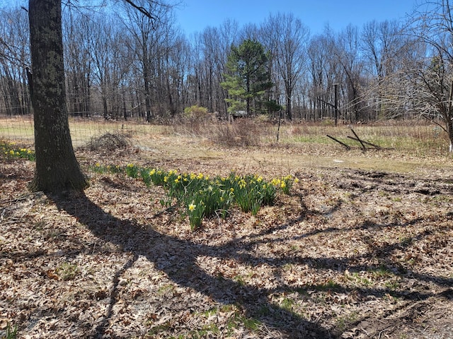 216 Buckhorn Ln, Cresco, PA 18326 - view of yard