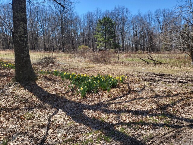 216 Buckhorn Ln, Cresco, PA 18326 - view of yard