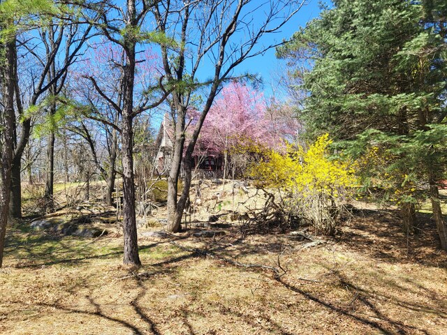 216 Buckhorn Ln, Cresco, PA 18326 - view of local wilderness