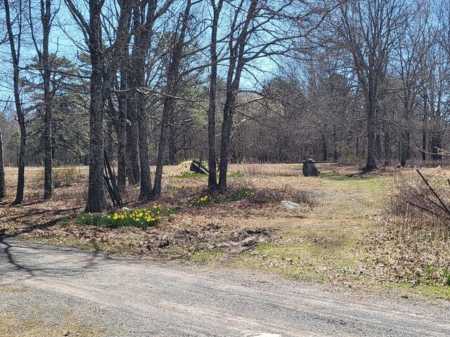 216 Buckhorn Ln, Cresco, PA 18326 - view of road