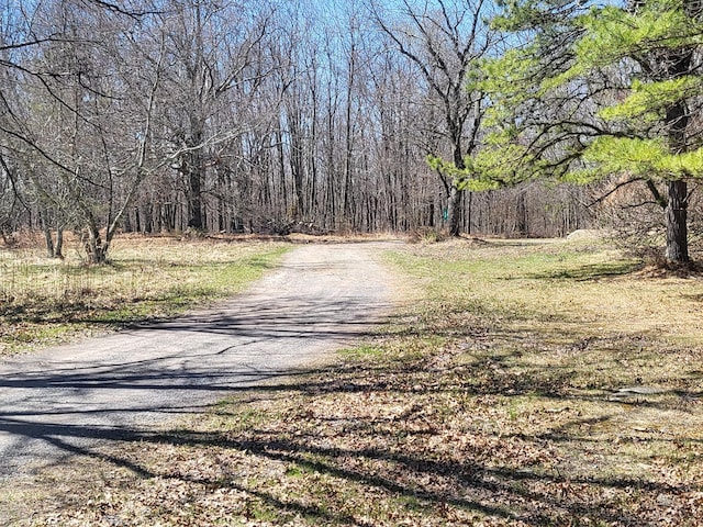 216 Buckhorn Ln, Cresco, PA 18326 - view of street with a forest view