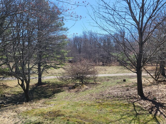 216 Buckhorn Ln, Cresco, PA 18326 - view of street with a forest view