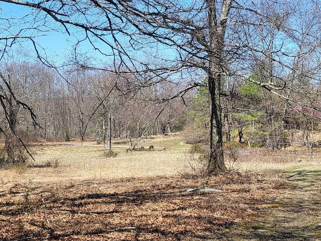 216 Buckhorn Ln, Cresco, PA 18326 - view of woods