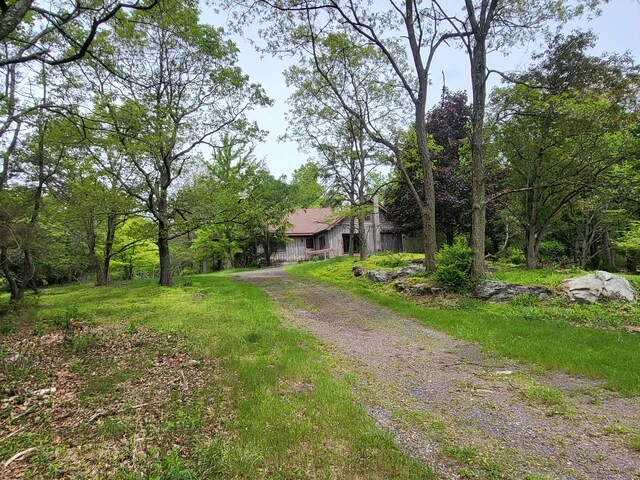 216 Buckhorn Ln, Cresco, PA 18326 - view of woods