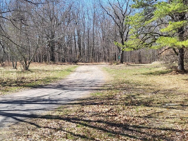 216 Buckhorn Ln, Cresco, PA 18326 - view of street with a forest view