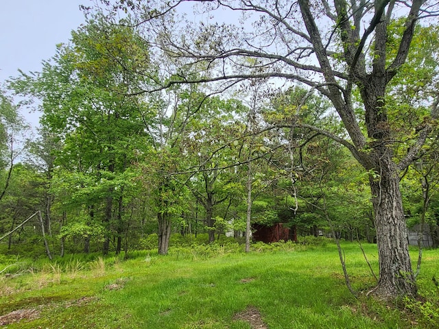 216 Buckhorn Ln, Cresco, PA 18326 - view of yard featuring a wooded view