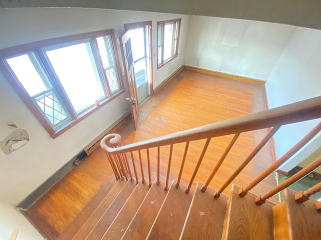 stairs featuring plenty of natural light and wood finished floors