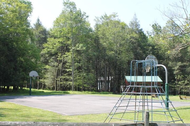 57 Swamp Hollow Ln, Albrightsville, PA 18210 - photo 26