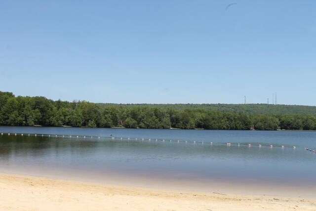 57 Swamp Hollow Ln, Albrightsville, PA 18210 - photo 30