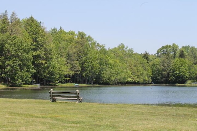 57 Swamp Hollow Ln, Albrightsville, PA 18210 - photo 31