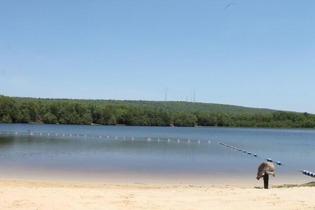 57 Swamp Hollow Ln, Albrightsville, PA 18210 - photo 29