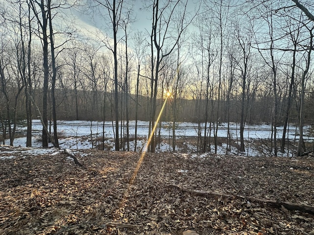 property view of water featuring a forest view