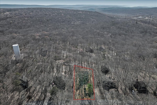154 Elgin Way, Bushkill, PA 18324 - bird's eye view with a view of trees and a mountain view