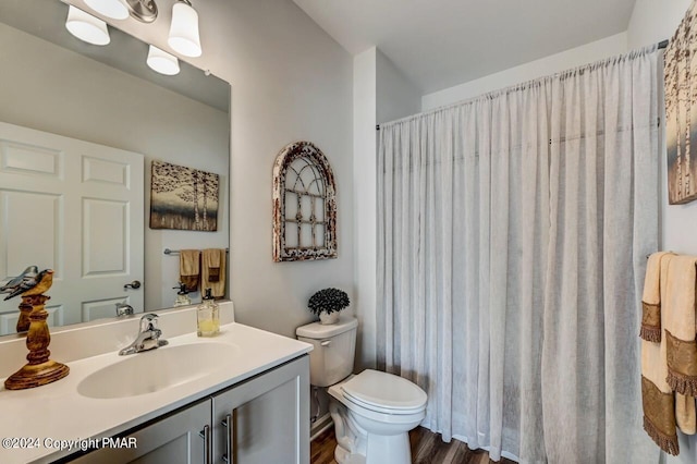 full bath featuring vanity, toilet, and a shower with curtain