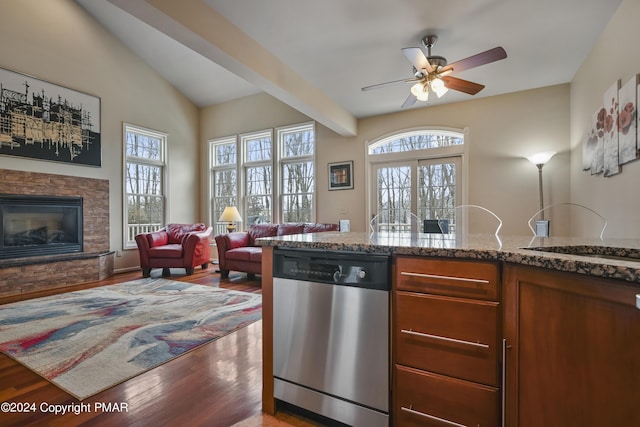 kitchen featuring plenty of natural light, dishwasher, a stone fireplace, and light wood finished floors