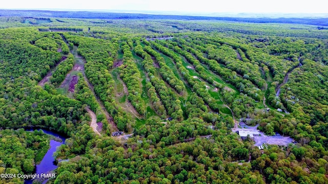 bird's eye view featuring a view of trees