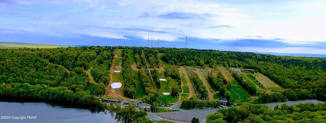 aerial view with a water view and a view of trees