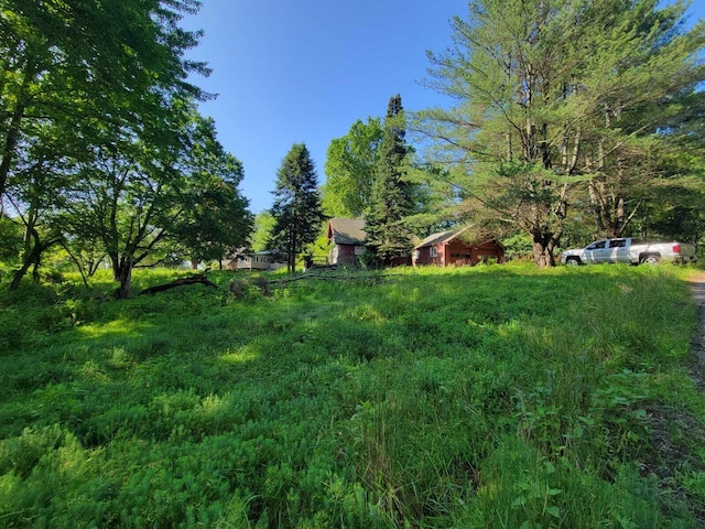 108 Stag Ct, Bushkill, PA 18324 - view of yard