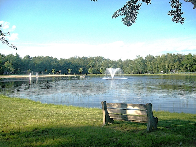 water view with a view of trees