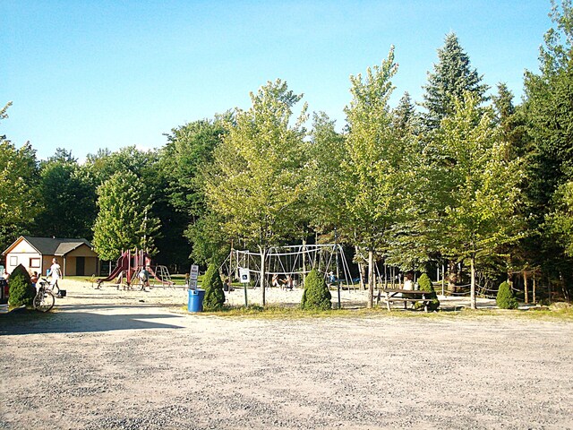 291 White Pine Dr, Pocono Lake, PA 18347 - view of home's community with playground community