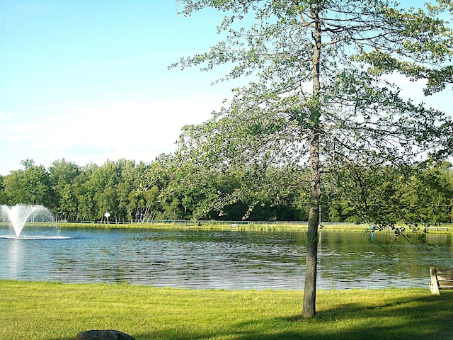 291 White Pine Dr, Pocono Lake, PA 18347 - property view of water