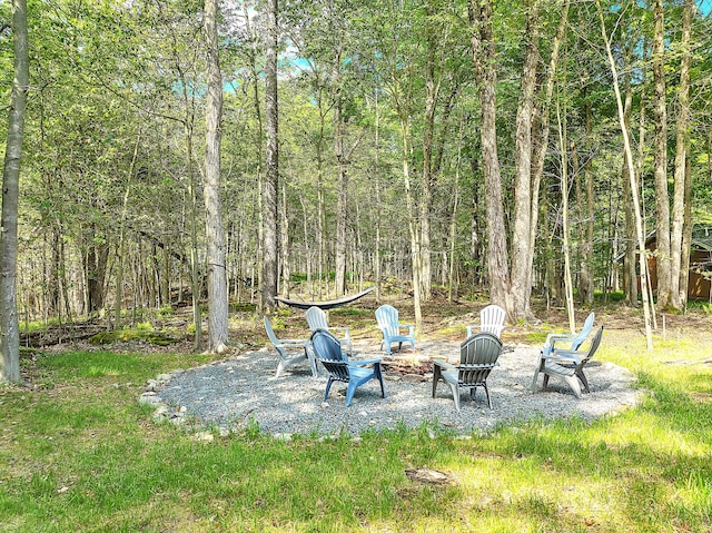 291 White Pine Dr, Pocono Lake, PA 18347 - view of yard