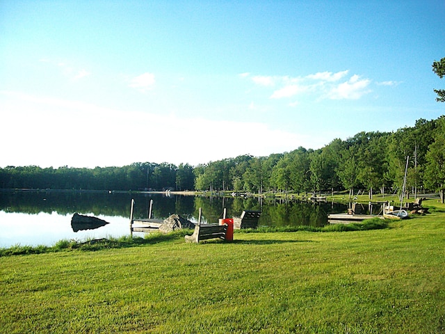 view of community featuring a water view, a lawn, and a boat dock