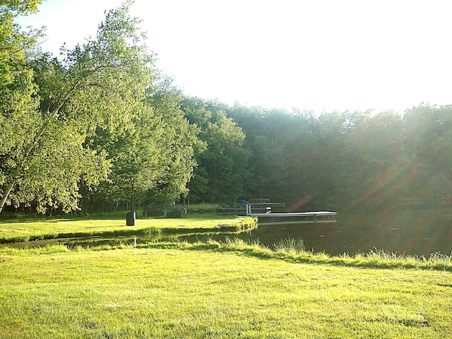 291 White Pine Dr, Pocono Lake, PA 18347 - view of yard with a water view and a view of trees